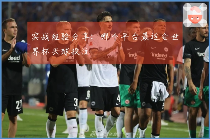 实战经验分享：哪个平台最适合世界杯买球投注