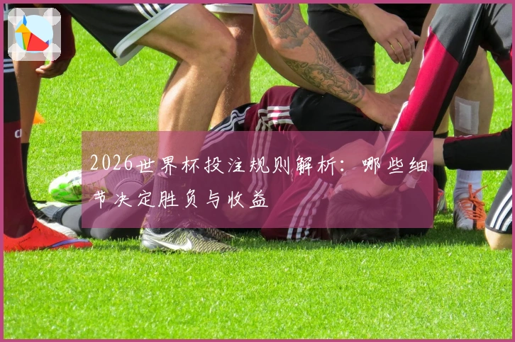2026世界杯投注规则解析：哪些细节决定胜负与收益