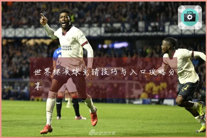 世界杯滚球竞猜技巧与入口攻略分享