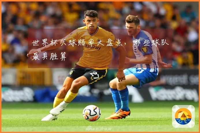 世界杯买球赔率大盘点，哪些球队最具胜算