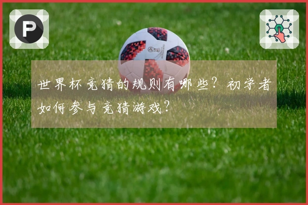 世界杯竞猜的规则有哪些？初学者如何参与竞猜游戏？
