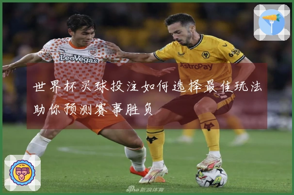 世界杯买球投注如何选择最佳玩法助你预测赛事胜负