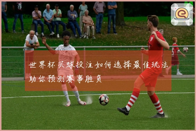 世界杯买球投注如何选择最佳玩法助你预测赛事胜负