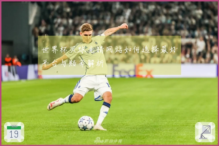 世界杯买球竞猜网站如何选择最好平台与赔率解析