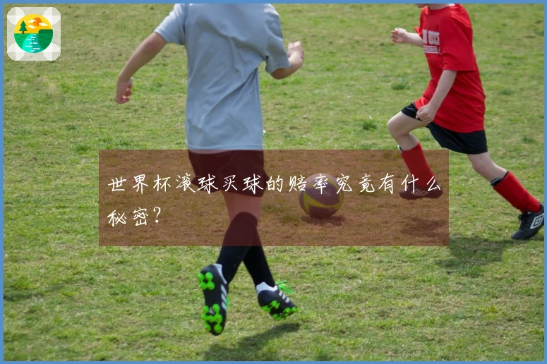 世界杯滚球买球的赔率究竟有什么秘密？