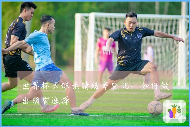 世界杯买球竞猜赔率变化，如何做出明智选择