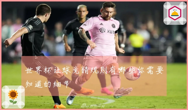 世界杯让球竞猜规则有哪些你需要知道的细节