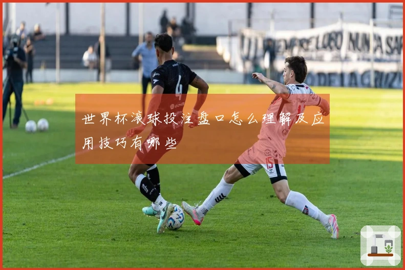 世界杯滚球投注盘口怎么理解及应用技巧有哪些