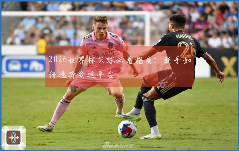 2026世界杯买球必看指南：新手如何选择合适平台