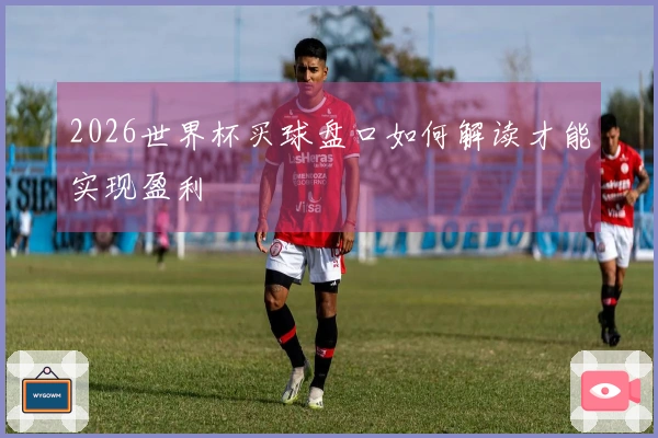 2026世界杯买球盘口如何解读才能实现盈利