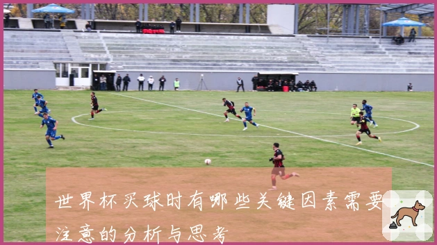 世界杯买球时有哪些关键因素需要注意的分析与思考